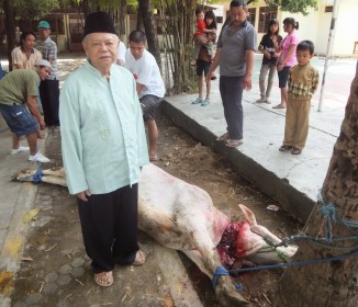 Qurban